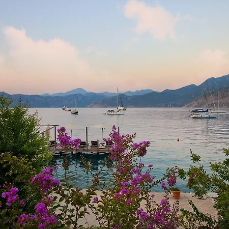 Guest house Losta Sahil Evi - Adults Only +12