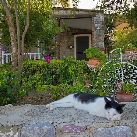 Losta Sahil Evi - Adults Only +12 Guest house
