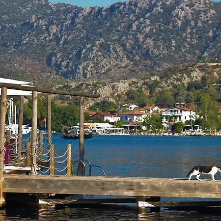 Guest house Losta Sahil Evi - Adults Only +12 *